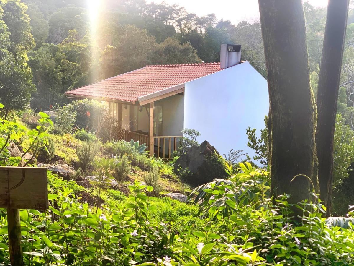 Eighteen21 Houses - Secluded Charm Cottage In Quinta Velha 辛特拉 外观 照片